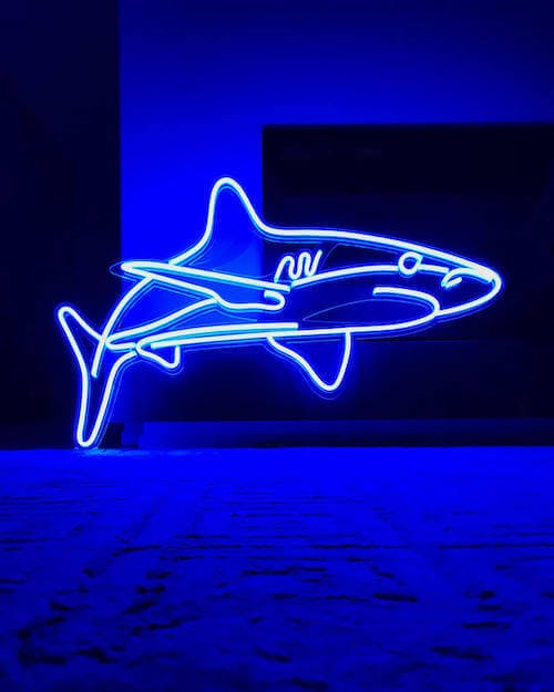LED neon shark
